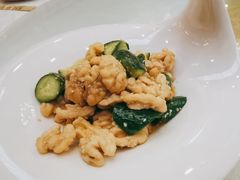 -满天星花园
