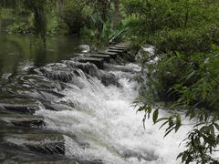 -花溪王记牛肉粉(四季花溪商场店)