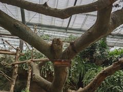 -济州山房山碳酸温泉