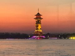 -溱湖国家湿地公园