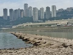 -菜园坝水果市场