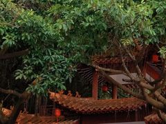 -东莞观音山旅游风景区