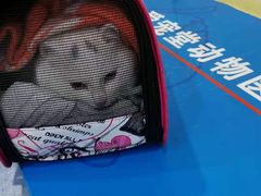 -瑞鹏宠物医院·爱宠堂·骨外专科(西荷分院)