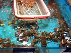 -拉完海鲜大排档(温岭店)