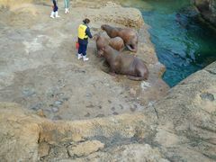 -长隆海洋王国-海洋大街餐厅