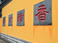 -运河游船(武林门码头)