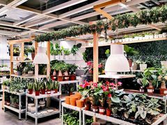 -宜家家居(西安未央商场店)