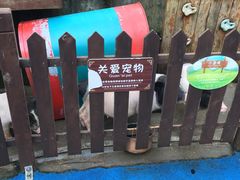 -上海崇明金茂凯悦酒店