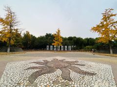 -太阳宫公园
