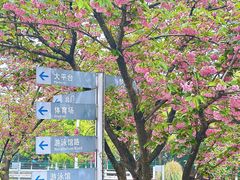 -南京奥林匹克体育中心