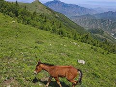 -灵山