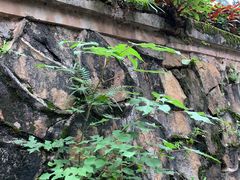 -碧水湾温泉