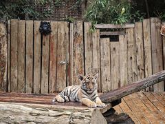 -云南野生动物园