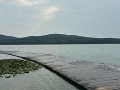 -水上明月·湖景餐厅
