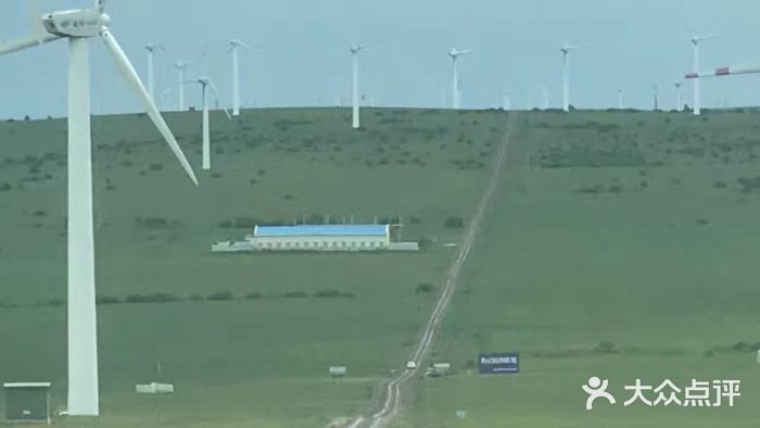 塞罕坝国家级自然保护区图片