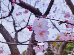 -自然谷恐龙园