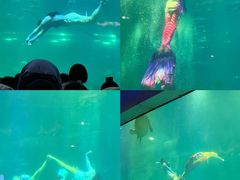-福州罗源湾海洋世界旅游区