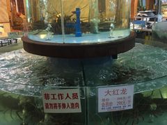 -金龙渔港(双楠店)