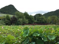 -贵阳市花溪国家城市湿地公园