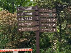 -武陵山森林公园