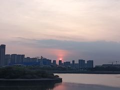 -五缘湾湿地公园
