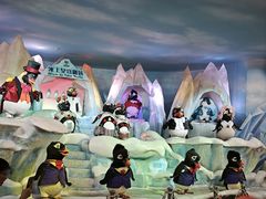 -帝企鹅自助餐厅•儿童岛•真企鹅(长隆企鹅酒店)