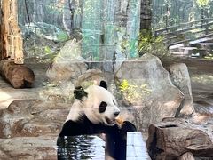 -海南热带野生动植物园