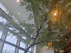 -九田家黑牛烤肉料理(珠江摩尔店)
