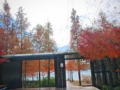 -昆山城市生态森林公园