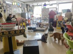 -平行世界·猫咖(首经贸店)