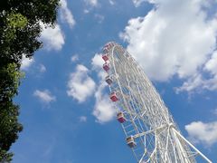 -弘阳·未来世界(弘阳广场店)