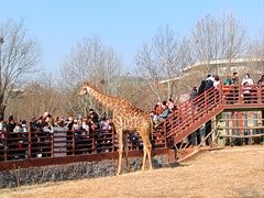 -济南野生动物世界