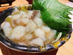 芥末章鱼-舞漁日料美人胶原锅(陆家嘴中心店)