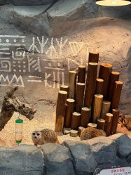 -Zoolung Zoolung动物主题公园(海信广场店)