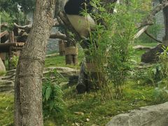 -武汉动物园