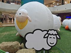 -阳光天地