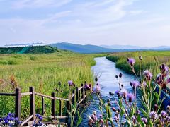 -坝上草原大汗行宫旅游景区