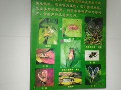 -上海昆虫博物馆