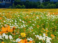 -东钱湖旅游度假区