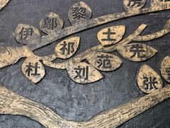 -东平国家森林公园
