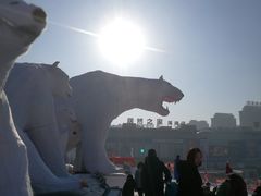 -沈阳奥体冰雪嘉年华