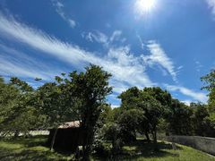 -合肥野生动物园