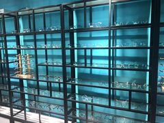 -Trend1881视光·蔡司视觉(领展广场店)