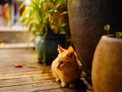 -默迹咖啡馆