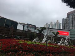 -荔枝公园-小平画像广场