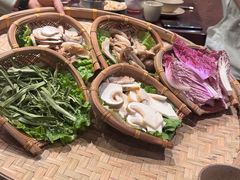 -滇野云南野生菌餐厅(陕西南路店)