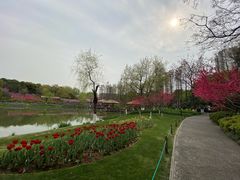 -圩墩遗址公园