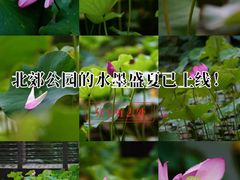 -城市运动公园(未央区)