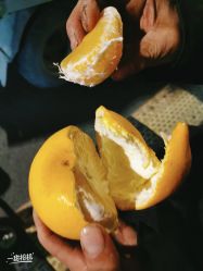 -哈妮儿童摄影(德清店)