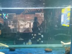 -顺德南宏海立方海洋公园